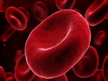 Diet plan for anemia: best foods for anemia, iron deficiency, increased hemoglobin naturally | Diet plan for anemia: शरीर में तेजी से खून बढ़ाकर एनीमिया, कमजोरी और थकान दूर करने वाले 10 फूड