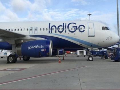 viral news mumbai to abu dhabi indigo flight carries load in cargo compartment officials suspended after complaints | Viral News: बीना किसी पासपोर्ट-वीजा के मुंबई से यूएई पहुंचा कार्गो लोडर, अधिकारियों के फूले हाथ पैर