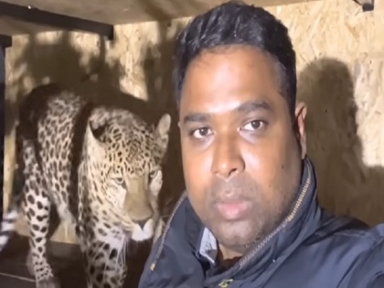 Indian doctor wants jaguar and Panther to rescued from Ukraine, seeks help from Modi government | यूक्रेन में फंसे अपने पालतू जगुआर और तेंदुए को बाहर निकालना चाहता है ये शख्स, भारत सरकार से मांगी मदद