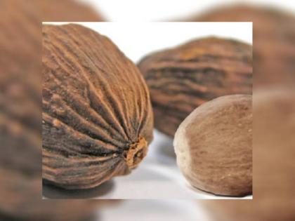 5 benefits of Jaiphal Superfood Nutmeg | स्वास्थ्य के लिए फायदेमंद होता है जायफल, जानें इस सुपरफूड के 5 फायदों के बारे में