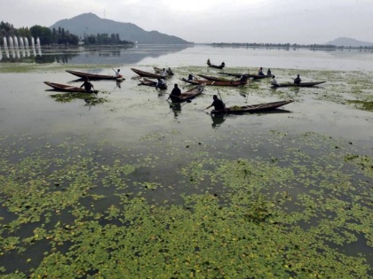 Dal Lake got an open area of ​​20.3 sq km in Jammu Kashmir | डल झील को मिला 20.3 वर्ग किमी का खुला क्षेत्र, अभी भी 25 वर्ग किमी में फैली झील के 5 वर्ग किमी पर अतिक्रमण