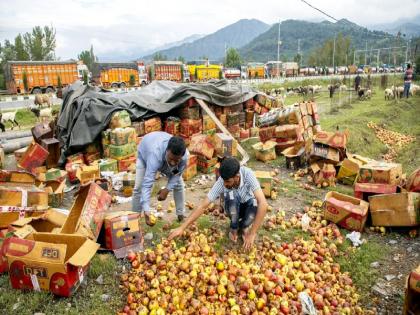 Jammu-Srinagar highway is open but not for heavy vehicles As result there is shortage of essential commodities in Kashmir and apple trade is suffering huge losses | जम्‍मू-श्रीनगर राजमार्ग खुला, भारी वाहनों को मनाही; कश्मीर में सेब व्यापार को नुकसान