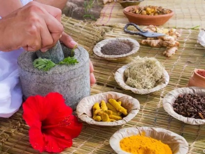 jaundice ayurvedic treatment: Use these 5 ayurvedic herbs to get rid from jaundice in Hindi | पीलिया का आयुर्वेदिक उपचार : इन 5 आयुर्वेदिक जड़ी बूटियों में है Jaundice का इलाज करने की क्षमता