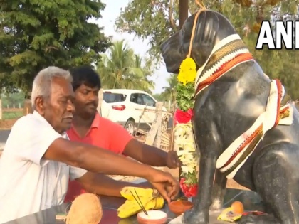 Tamil Nadu Pet dog tom died due to disease old man built his temple | VIDEO: पालतू कुत्ते की मौत से आहत बुजुर्ग ने बनवाया उसका मंदिर, कहा- बच्चे से भी ज्यादा प्यार करता था