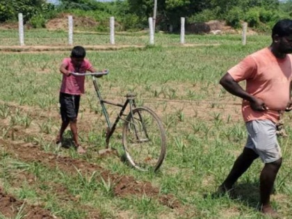 farmer transform his son bicycle into plough to cultivate field in tamilnadu covid 19 lockdown | कर्ज के बोझ से लाचार पिता ने अपने बेटे की साइकिल को बनाया हल, खुद बैल बनकर खेत जोतने को हैं मजबूर