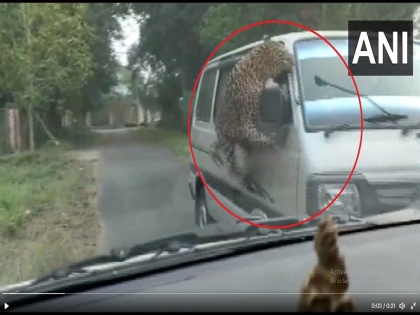 Assam: 13 persons injured after attacked by leopard in Jorhat, watch video | असम के जोरहाट में तेंदुए का आतंक, देखें वीडियो, तीन वन कर्मचारी सहित 13 लोग हुए हमले में घायल