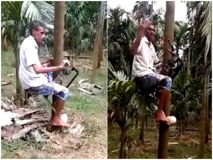 Farmer Creates Ingenious Device To Carry Him Up Trees To Pick Coconuts | वायरल हुआ चचा का जुगाड़, कुछ ही सेकेंड में नारियल के पेड़ पर चढ़ा देगी ये गाड़ी