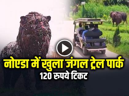 Jungle Trail Park opens in Noida Today, Ticket price Rs 120, Watch video | Jungle Trail in Noida: नोएडा में आज से खुला जंगल ट्रेल पार्क, 120 रुपये टिकट, देखें वीडियो Jungle Trail Park opens in Noida Today, Ticket price Rs 120, Watch video | Jungle Trail in Noida: नोएडा में आज से खुला जंगल ट्रेल पार्क, 120 रुपये टिकट, देखें वीडियो