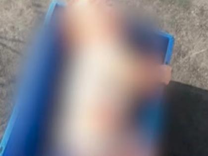 Kabul Airport picture child separated from parents found in abandoned condition | काबुल एयरपोर्ट से दिल झकझोर देने वाली तस्वीर, अफगानिस्तान छोड़ने की भागदौड़ में माता-पिता से बिछड़ा मासूम, लावारिस हालत में बिलखता मिला Kabul Airport picture child separated from parents found in abandoned condition | काबुल एयरपोर्ट से दिल झकझोर देने वाली तस्वीर, अफगानिस्तान छोड़ने की भागदौड़ में माता-पिता से बिछड़ा मासूम, लावारिस हालत में बिलखता मिला