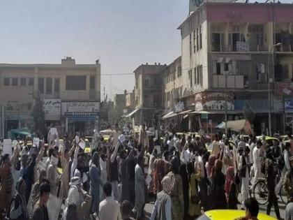 Taliban arrest journalists covering protest in Kabul says local reports | काबुल में पाकिस्तान विरोधी प्रदर्शन कवर कर रहे कई पत्रकारों को तालिबान ने पकड़ा, अज्ञात जगह ले गए: रिपोर्ट