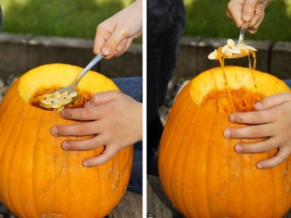 Diet tips: include pumkin seeds and Jackfruit seeds to boost immunity system and fight cancer, diabates, heart diseases, kaddu ke beej ke fayde, kathal ke beej ke fayde | Diet tips: अब मत फेंकना इन 2 सब्जियों के बीज, खून की कमी, कैंसर, हार्ट अटैक, डायबिटीज जैसे 10 रोगों से करते हैं बचाव