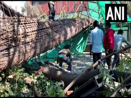 Bengaluru Woman and 2-year-old son killed fall under-construction Metro pillar in Nagawara Video | बेंगलुरु: नागवारा में निर्माणाधीन मेट्रो का पिलर गिरने से महिला और उसके 2 साल के बेटे की मौत, बाल-बाल बचा पति; घटना के बाद का वीडियो आया सामने