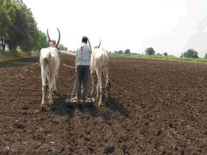 Chief Minister Shivraj Singh Chauhan Cabinet decided money lending of agricultural laborers will be forgiven | मध्यप्रदेश सरकार का बड़ा फैसला, सीमांत और किसानों के साथ ही कृषि मजदूरों का साहूकारी कर्ज होगा माफ