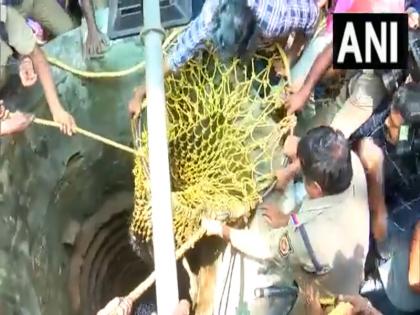 Kerala Forest Dept officer unconsciously pulled out bear that fell in well with the help of net video rescue surfaced | केरल: कुएं में गिरे भालू को वन विभाग अधिकारी ने बेहोश कर जाल के सहारे निकाला बाहर, रेस्क्यू का वीडियो आया सामने