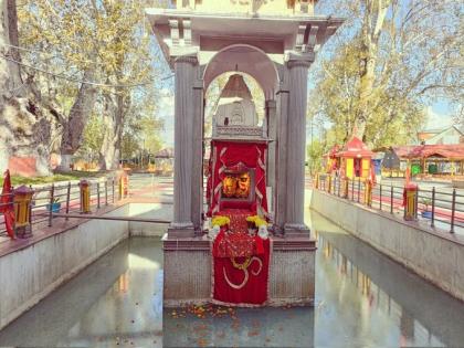 Kheer Bhawani Mela 5000 Kashmiri Pandits journey return since 34 years gathered Bhawani prayed return offered flowers faith see photos video | Kheer Bhawani Mela: 34 साल से वापसी की राह, क्षीर भवानी में एकत्र होकर वापसी की दुआ, श्रद्धा के फूल चढ़ाए, देखें तस्वीरें Kheer Bhawani Mela 5000 Kashmiri Pandits journey return since 34 years gathered Bhawani prayed return offered flowers faith see photos video | Kheer Bhawani Mela: 34 साल से वापसी की राह, क्षीर भवानी में एकत्र होकर वापसी की दुआ, श्रद्धा के फूल चढ़ाए, देखें तस्वीरें