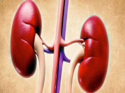 कम भूख लगना हो सकता है किडनी की बीमारी का संकेत, जानें किडनी की बीमारी के लक्षण और डॉक्टर से लें सलाह