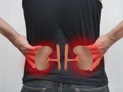 kidney damage and kidney disease causes, sign and symptoms, habits that can cause kidney damage in Hindi | सावधान! किडनी खराब कर देती हैं ये 10 गंदी आदतें, लड़कियां ज्यादा करती हैं दूसरा काम