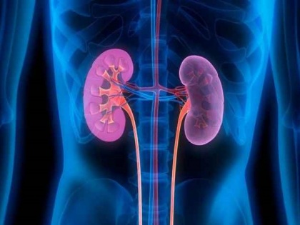 World Kidney Day causes and symptoms of kidney stones | World Kidney Day 2018: किडनी की पथरी होने के कारण और लक्षण