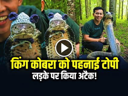 King Cobra wear a Knitted Cap Video Goes Viral on Social Media | VIDEO: किंग कोबरा को पहनाई टोपी, वीडियो सोशल मीडिया पर हुआ वायरल King Cobra wear a Knitted Cap Video Goes Viral on Social Media | VIDEO: किंग कोबरा को पहनाई टोपी, वीडियो सोशल मीडिया पर हुआ वायरल