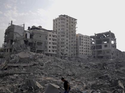 Israel Hamas War WHO chief said 53 including a colleague died while collecting bread and called for ceasefire | Israel-Hamas War: रोटी इकट्ठा करते समय एक सहकर्मी समेत 53 की हुई मृत्यु, इजरायल-हमास युद्धविराम का किया आह्वान- WHO प्रमुख