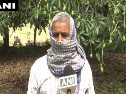 lockdown and weather hit farmers upset, heavy loss of due to rain | कोरोना, लॉकडाउन और मौसम की मार से किसान परेशान, बारिश के कारण लाखों का नुकसान