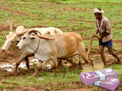 Prime Minister Kisan Samman Nidhi benefit no registration farmers for four months nagpur  | चार माह से किसानों का पंजीयन ही नहीं, प्रधानमंत्री किसान सम्मान निधि का कैसे मिलेगा लाभ?