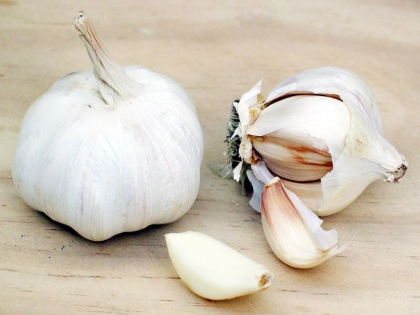 know Garlic benefits usage best for immunity booster in winter health tips in hindi | सर्दियों में लहसुन खाने से मजबूत होती है इम्यूनिटी, दवा से ज्यादा हो सकता है फायदेमंद साबित, जानें Garlic के फायदे-इस्तेमाल का तरीका