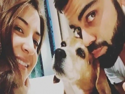 Virat Kohli, Anushka Sharma Mourn Death Of Their Pet Dog "Bruno", Pay tribute on social media | कोहली, अनुष्का हुए 'ब्रूनो' की मौत पर दुखी, लिखा, '11 साल साथ रहे लेकिन जीवन भर का संबंध बना लिया'