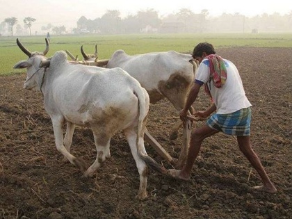 Pradeep Dwivedi blog over Decisions like agricultural laws should be taken through a referendum | प्रदीप द्विवेदी का ब्लॉग: कृषि क़ानूनों जैसे निर्णय तो जनमत संग्रह से ही होने चाहिएं!