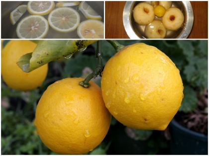 lemon water good for fitness in monsoon nibu pani ke faydey health tips in hindi | बरसात में सुबह खाली पेट एक गिलास नींबू पानी करता है शरीर से आयरन, मैग्नीशियम, और कैल्शियम की समस्या को हमेशा के लिए दूर, जानें Lemon Water के चमत्कारी फायदे