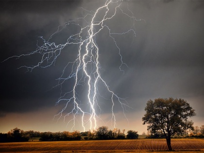 Lightning strikes again in Bihar: Thunderstorms again kill 7 people, Meteorological Department issued alert | बिहार में आसमान से फिर से बरसी बिजली: वज्रपात ने ले ली फिर से 7 लोगों की जान, मौसम विभाग ने जारी किया अगले 72 घंटे ले लिए अलर्ट