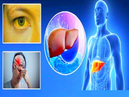Liver disease: sign, symptoms, foods, home remedies and main function of liver | Liver खराब होने से पहले शरीर देता है 5 संकेत, लीवर को साफ-मजबूत करती हैं ये 10 चीजें