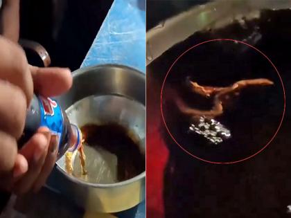 Lizard found in Cold Drink Bottle video viral | Cold Drink की बोतल में निकली छिपकली! वायरल VIDEO देख लोग रह गए दंग Lizard found in Cold Drink Bottle video viral | Cold Drink की बोतल में निकली छिपकली! वायरल VIDEO देख लोग रह गए दंग