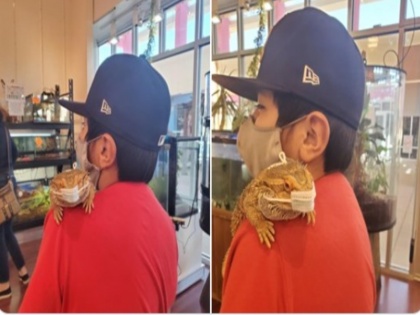 Photos of a pet lizard wearing face mask impresses netizens viral on social media | कोरोना वायरस के डर से छिपकली ने पहना मास्क, सोशल मीडिया पर वायरल हुई तस्वीर