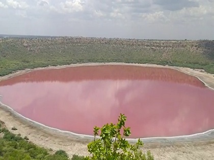 Team of Scientists to Examine Why Lonar Lake Water Turned Pink Overnight | लोनार झील का पानी हुआ गुलाबी, पड़ताल करेंगे वैज्ञानिक, आस-पास लोग हैरान
