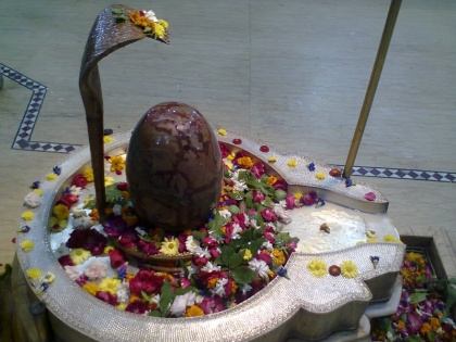 Sawan 2020: use these things while worshiping Lord Shiva to get shubh Phal Sawan Ke Upay In Hindi | सावन 2020: सावन में शिवलिंग पर चढ़ाएं ये चीजें, पूरी होगी मनोकामना