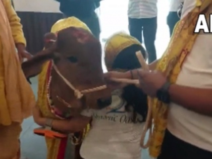 Uttar Pradesh Cow came as a special guest to inaugurate a new restaurant in Lucknow video viral | उत्तर प्रदेश: लखनऊ में विशेष अतिथि बनकर रेस्टोरेंट का उद्घाटन करने आई गाय, वीडियो वायरल