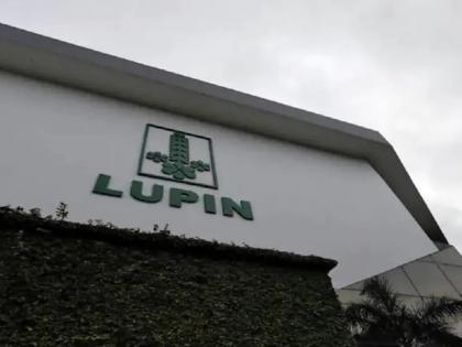 Lupin appoints Abdelaziz Toumi CEO manufacturing subsidiary newly formed arm Experience working in Europe, North America and Asia | Lupin appoints Abdelaziz Toumi: अब्देलअजीज तौमी होंगे मुख्य कार्यपालक अधिकारी, दवा कंपनी ल्यूपिन ने दी बड़ी जिम्मेदारी, यूरोप, उत्तरी अमेरिका और एशिया में काम करने का अनुभव Lupin appoints Abdelaziz Toumi CEO manufacturing subsidiary newly formed arm Experience working in Europe, North America and Asia | Lupin appoints Abdelaziz Toumi: अब्देलअजीज तौमी होंगे मुख्य कार्यपालक अधिकारी, दवा कंपनी ल्यूपिन ने दी बड़ी जिम्मेदारी, यूरोप, उत्तरी अमेरिका और एशिया में काम करने का अनुभव