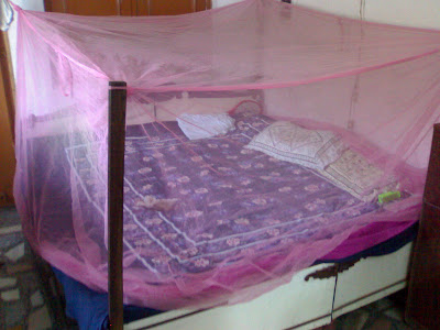haryana government distribute mosquito net in state | हरियाणा सरकार करोड़ों रुपये की लागत से राज्य भर में बांटेगी मच्छरदानी, संपर्क में आते ही मरेंगे मच्छर