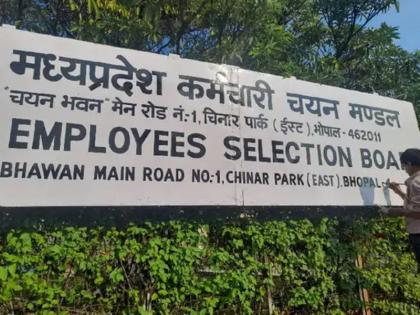 Madhya Pradesh Staff Selection Board issued clarification regarding joint recruitment examination for Group-2, Group-4 and Patwari posts | मध्य प्रदेश कर्मचारी चयन मंडल ने समूह-2, समूह-4 एवं पटवारी पद की संयुक्त भर्ती परीक्षा के संबंध में जारी किया स्पष्टीकरण