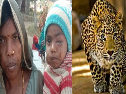 video woman fights leopard save 8-year old son after chasing mile Madhya Pradesh see | आदिवासी महिला ने तेंदुए से लड़ते हुए उसके पंजे से अपने आठ साल के बच्चे को बचाया, देखें वीडियो