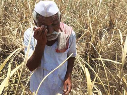 Maharashtra farmers awaiting immediate aid, not new government: Shiv Sena | शिवसेना के तेवर उग्र, कहा-महाराष्ट्र के किसान नई सरकार का नहीं, तत्काल राहत का इंतजार कर रहे हैं