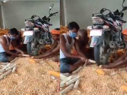 Anand Mahindra share a video of Corn grains jugad video viral on internet | देसी जुगाड़, बाइक के टायर से निकल रहे मक्के के दाने, आनंद महिंद्रा भी हुए इस जुगाड़ के फैन,देखें वायरल वीडियो