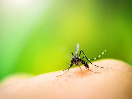 The war against malaria can go back 20 years due to coronavirus | Coronavirus पर WHO की चेतावनी, कहा- महामारी के कारण मलेरिया के खिलाफ 20 साल पीछे जा सकती है जंग