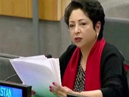 Pakistan’s top-most diplomat Maleeha Lodhi calls British PM Boris Johnson Foreign Minister, a post he held earlier | मलीहा लोधी ने फिर करायी पाकिस्तान की फजीहत, पढ़ें ट्वीटर पर क्या लिखा ऐसा