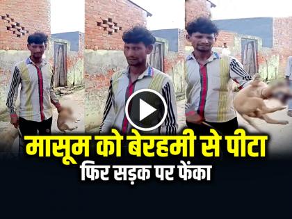 Man Beat Dog Puppy with Stick in amroha up Animal Cruelty video viral | कुत्ते को बेरहमी से पीटा और फेंका, आरोपी युवक गिरफ्तार