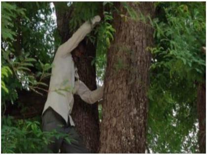 madhya pradesh man climbing tree to avoid vaccine in rajgarh covid 19 | गजब: वैक्सीन के डर से पेड़ पर बैठा रहा व्यक्ति, डोज खत्म होने के बाद आया नीचे, पत्नी भी नहीं लगवा सकी टीका