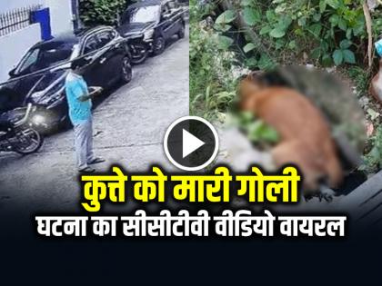 Man Fires 5 Bullets at Stray Dog in bijnor video goes viral | VIDEO: कुत्ते को मारी गोली, घटना का सीसीटीवी वीडियो वायरल, आरोपी गिरफ्तार... Man Fires 5 Bullets at Stray Dog in bijnor video goes viral | VIDEO: कुत्ते को मारी गोली, घटना का सीसीटीवी वीडियो वायरल, आरोपी गिरफ्तार...