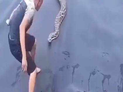 The Python suddenly came after the person who was plucking the snake, video goes viral | सांप को पकड़ रहे शख्स के पीछे अचानक आ गया अजगर, बंध गई घिग्घी, जानिए आगे क्या हुआ