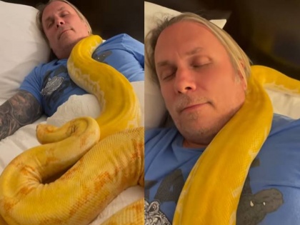 Man Takes Nap With 2 Pythons Crawling Over Him Watch Video | विशालकाय अजगरों संग आराम से सोता नजर आया शख्स, वायरल हुआ वीडियो